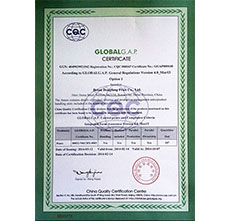 2014年(nián)GAP認證證書