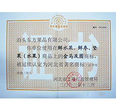 2013年(nián)金馬著名商标證書