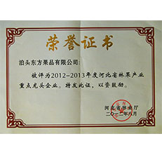 2012年(nián)省林業重點龍頭企業證書